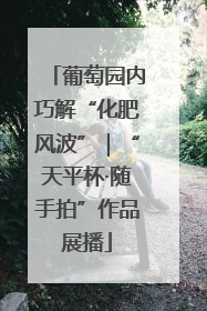 葡萄园内巧解“化肥风波”｜“天平杯·随手拍”作品展播